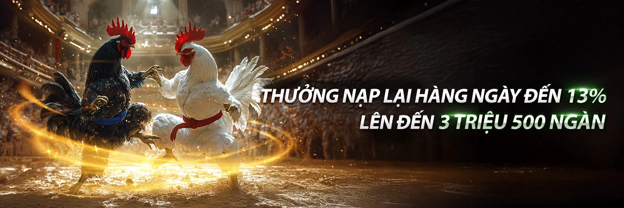 Tổng quan về HR99 - Nền tảng cá cược trực tuyến hàng đầu